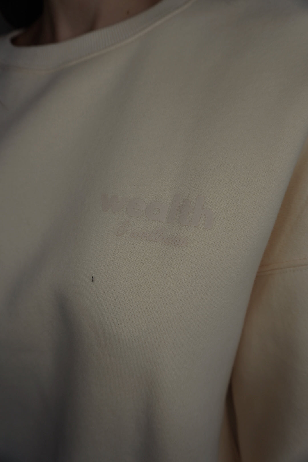 Wealth & Wellness Club Apricot on Apricot Oversized Crewneck Sweatshirt