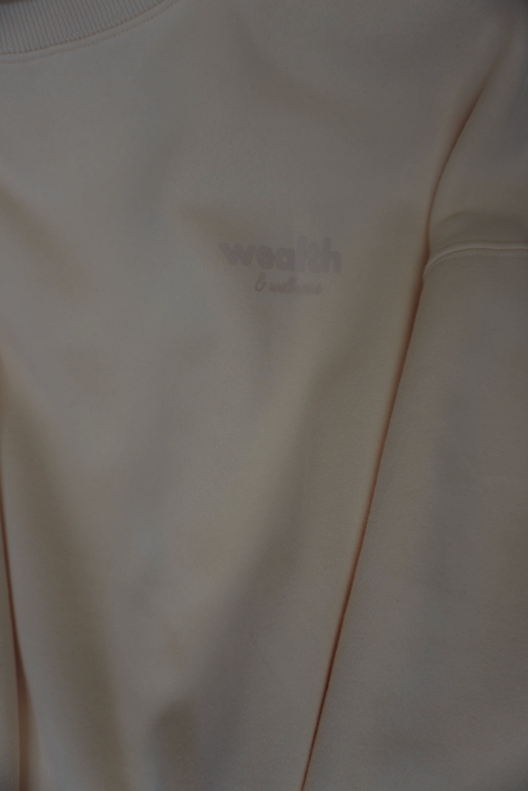 Wealth & Wellness Club Apricot on Apricot Oversized Crewneck Sweatshirt