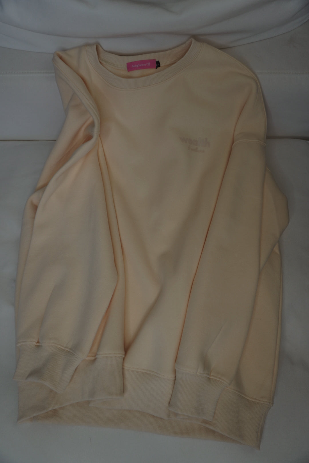 Wealth & Wellness Club Apricot on Apricot Oversized Crewneck Sweatshirt