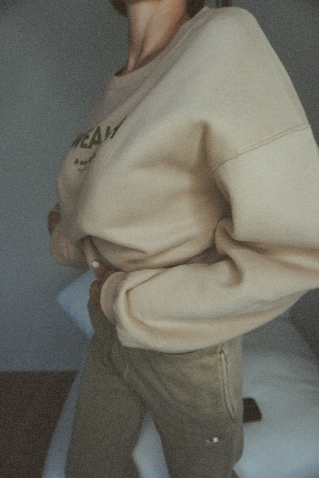 Wealth & Wellness Club Tan and Green Oversized Crewneck Sweatshirt