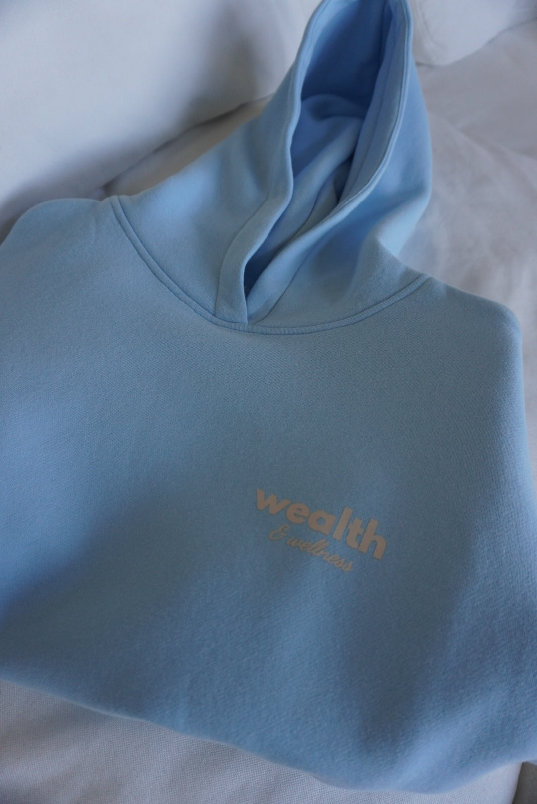 Wealth & Wellness Oversized Hoodie