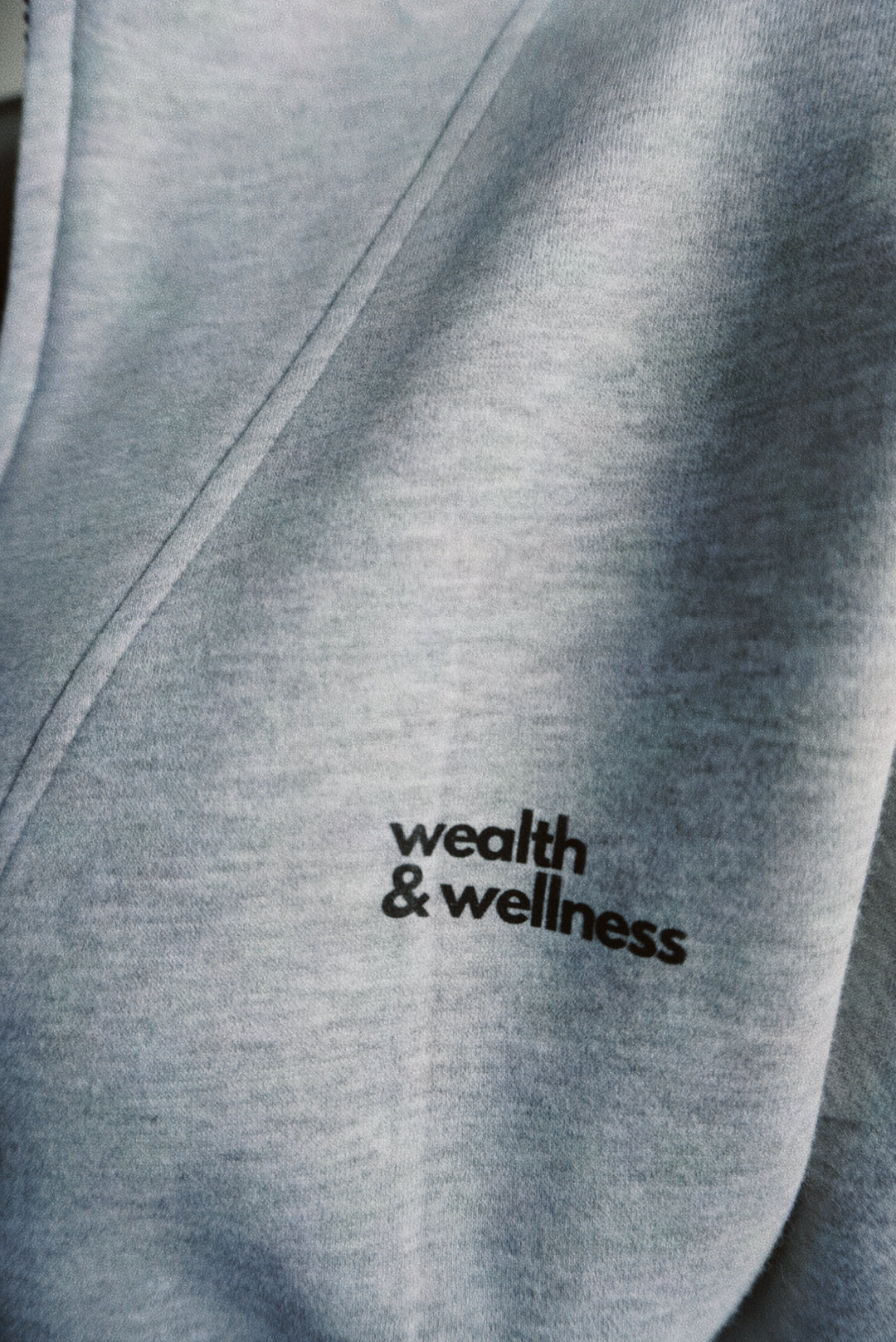 Wealth & Wellness Scuba Oversized Half-Zip Hoodie