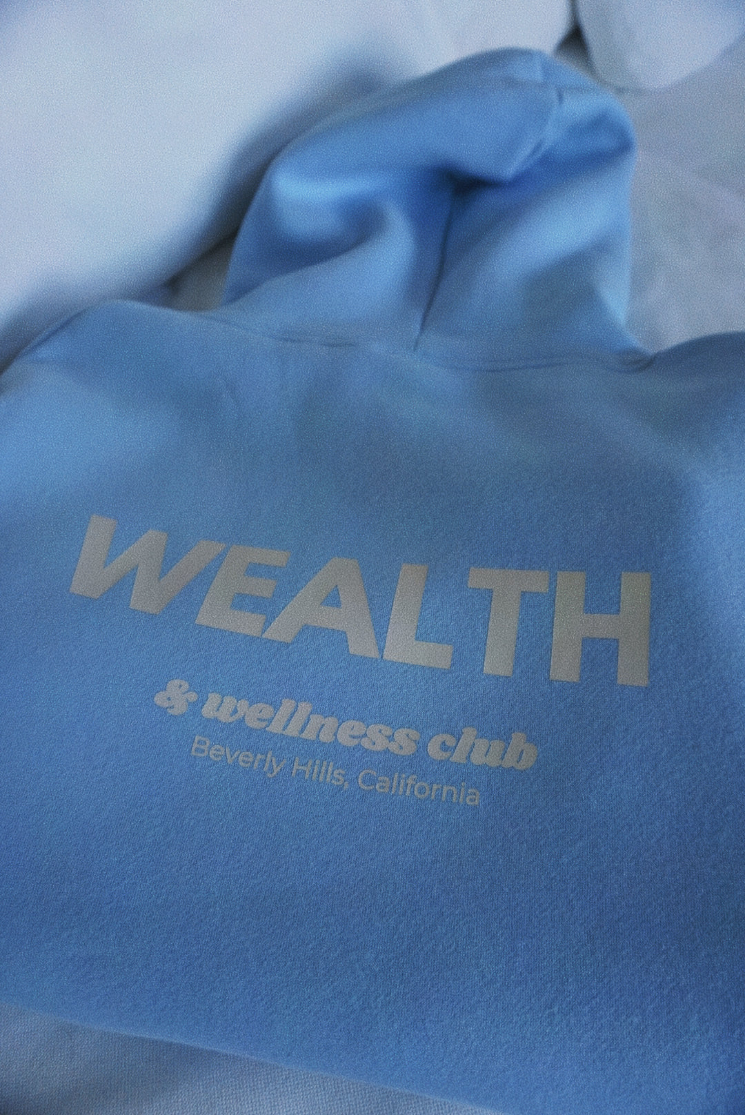 Wealth & Wellness Oversized Hoodie