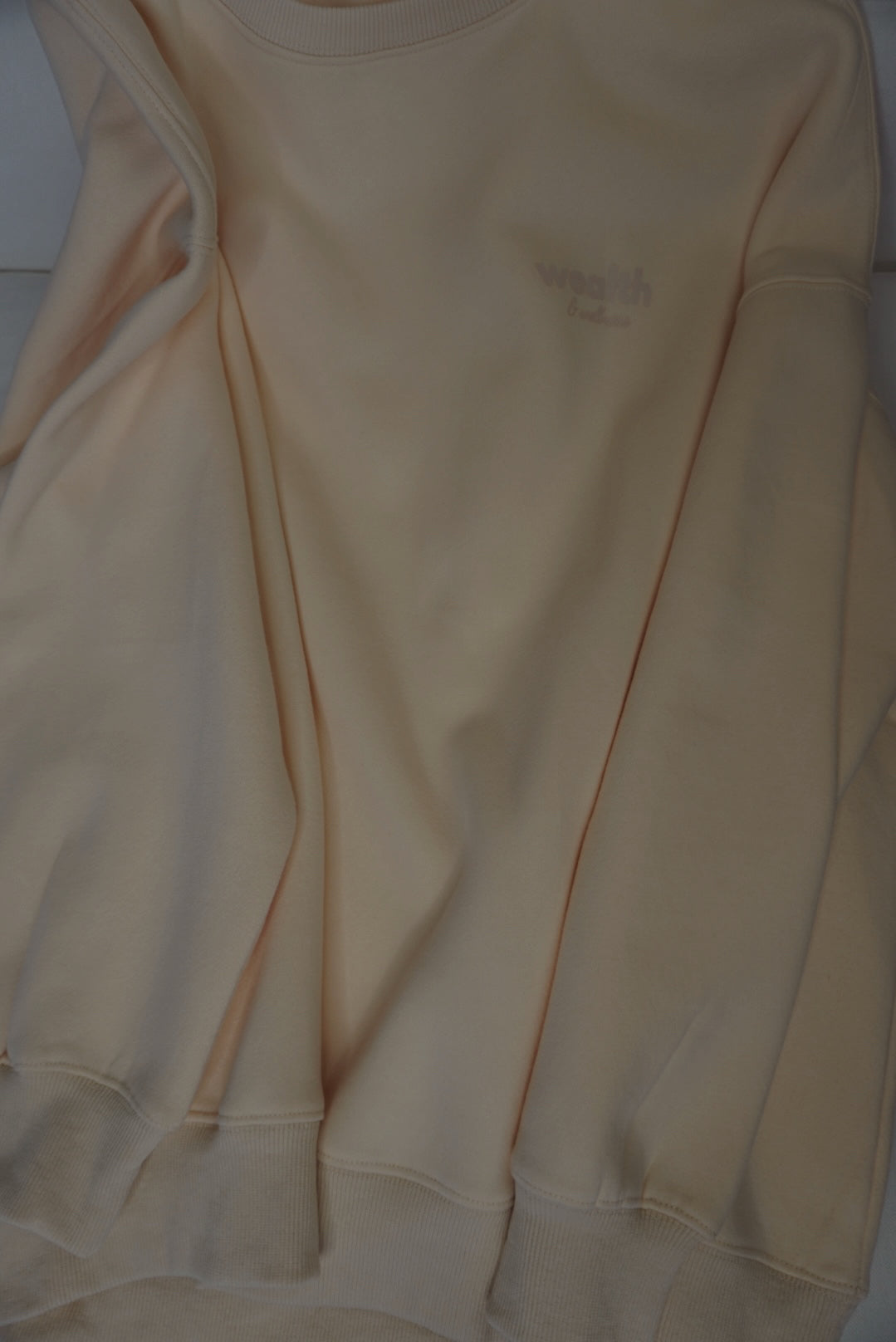 Wealth & Wellness Club Apricot on Apricot Oversized Crewneck Sweatshirt