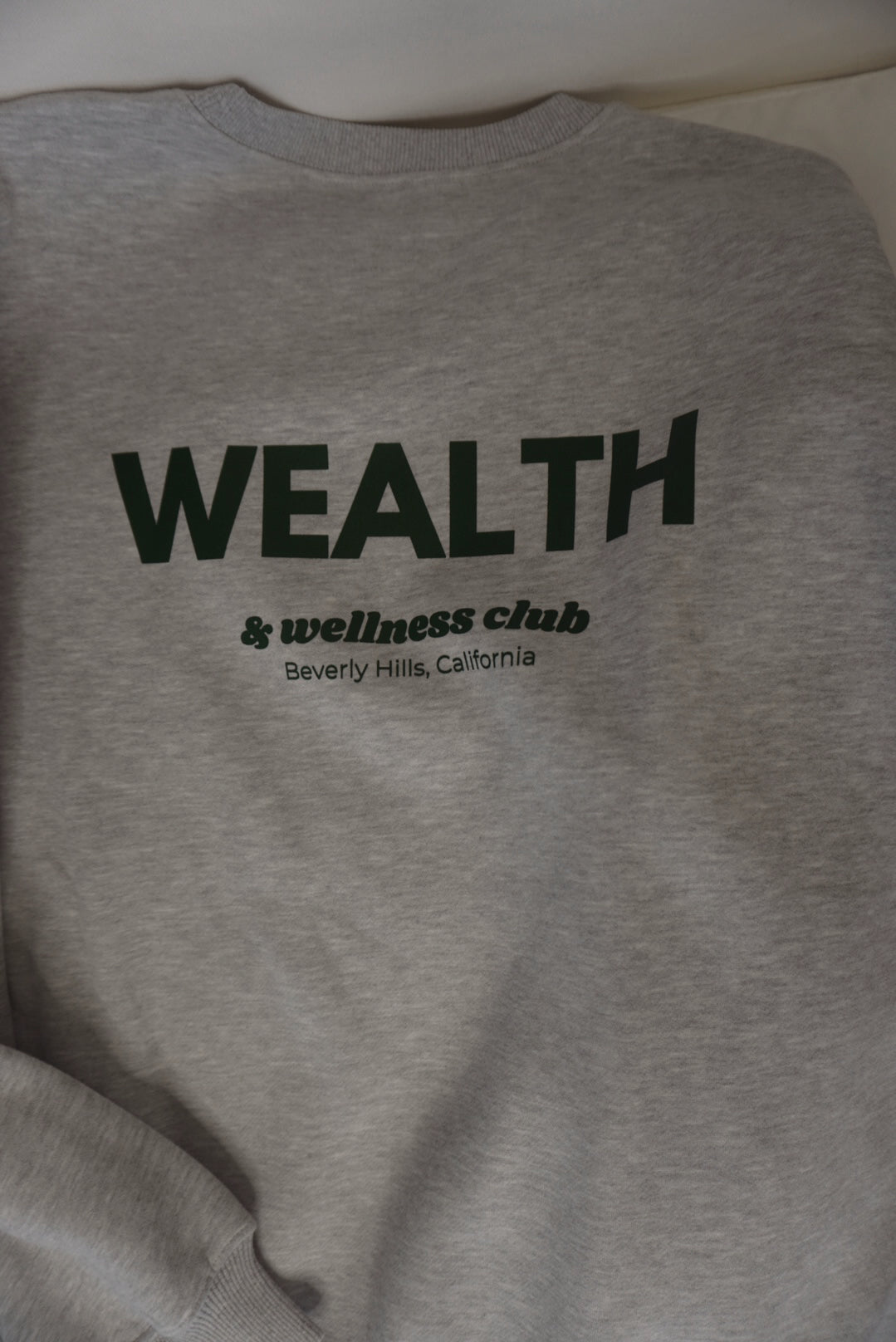 Wealth & Wellness Grey and Dark Green Oversized Crewneck Sweatshirt