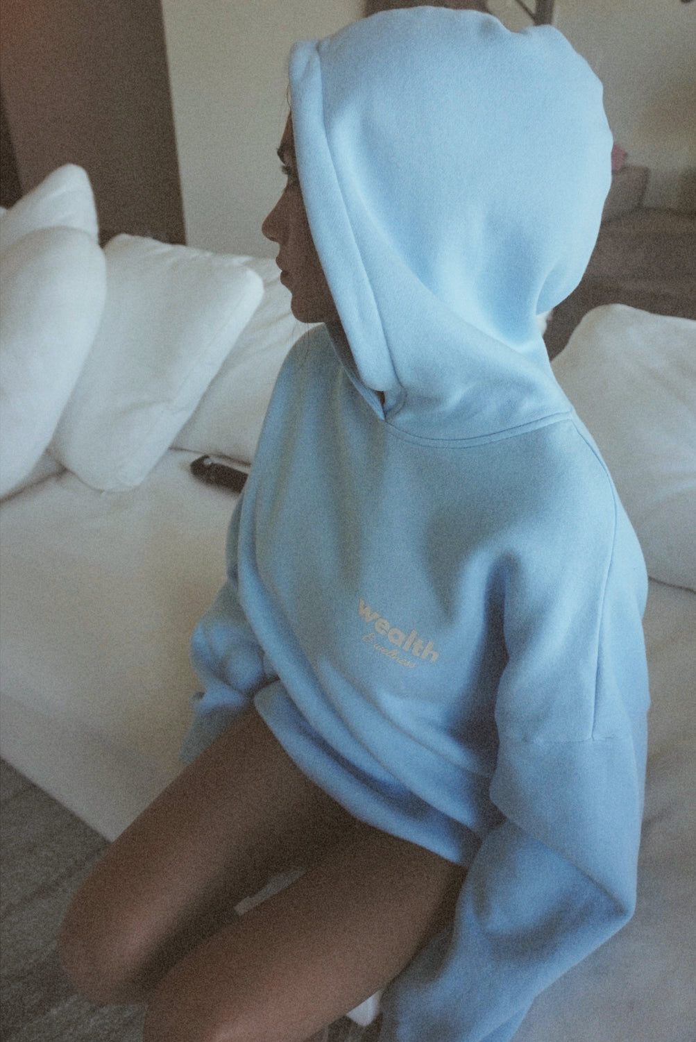 Wealth & Wellness Oversized Hoodie