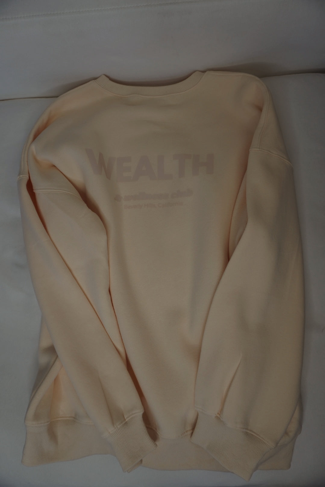 Wealth & Wellness Club Apricot on Apricot Oversized Crewneck Sweatshirt