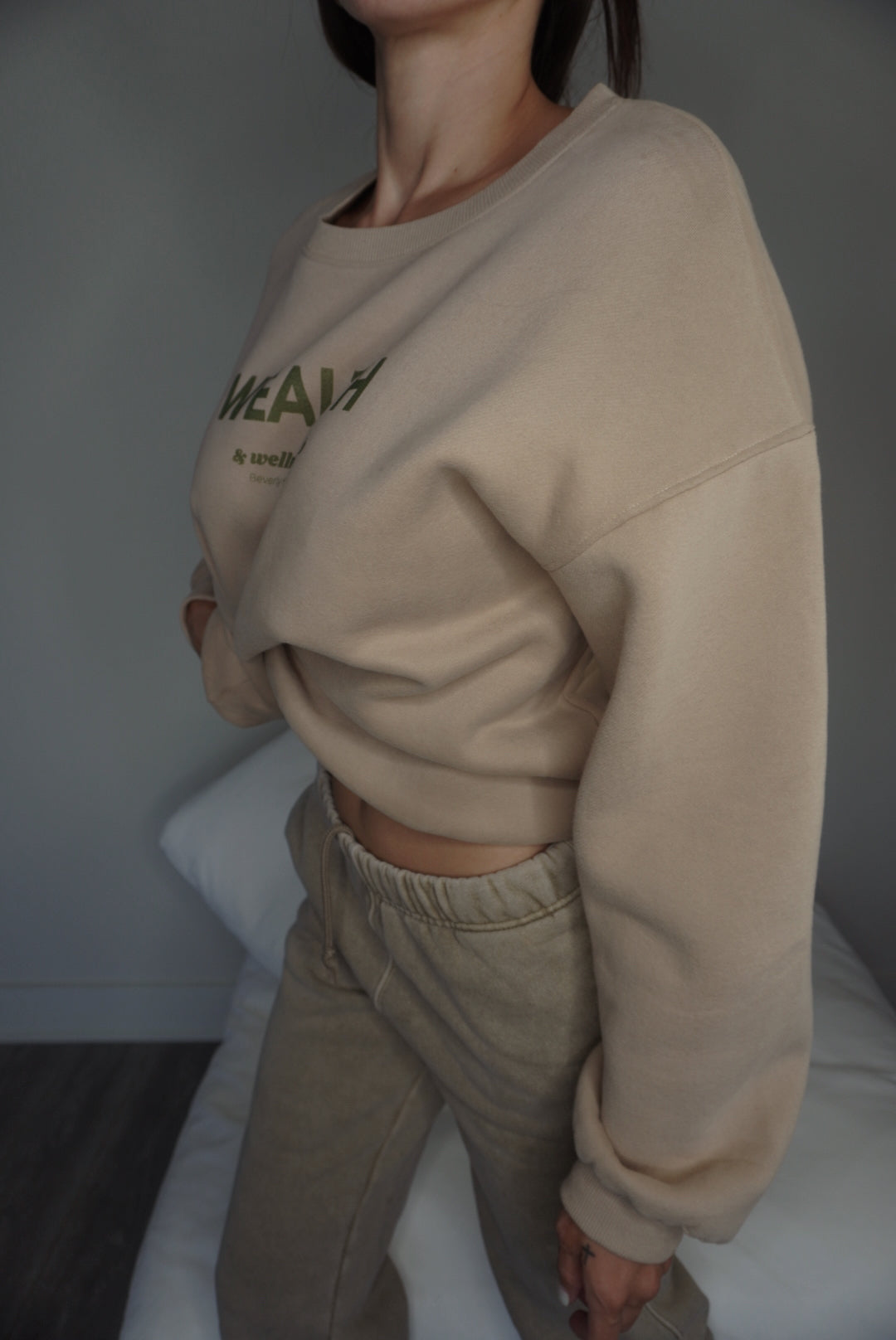 Wealth & Wellness Club Tan and Green Oversized Crewneck Sweatshirt