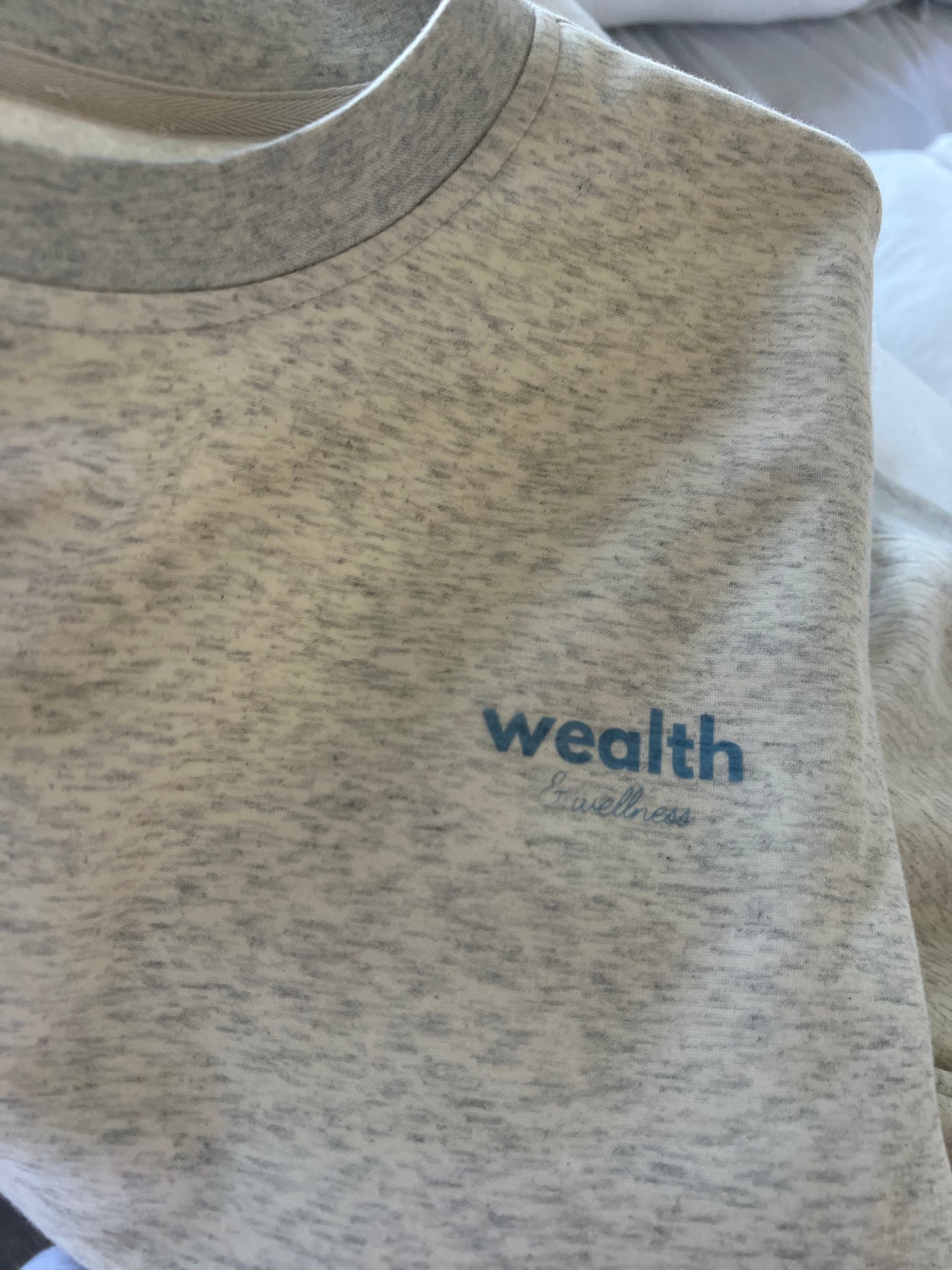 Wealth & Wellness Club Baby Gray Blue Crewneck Sweatshirt