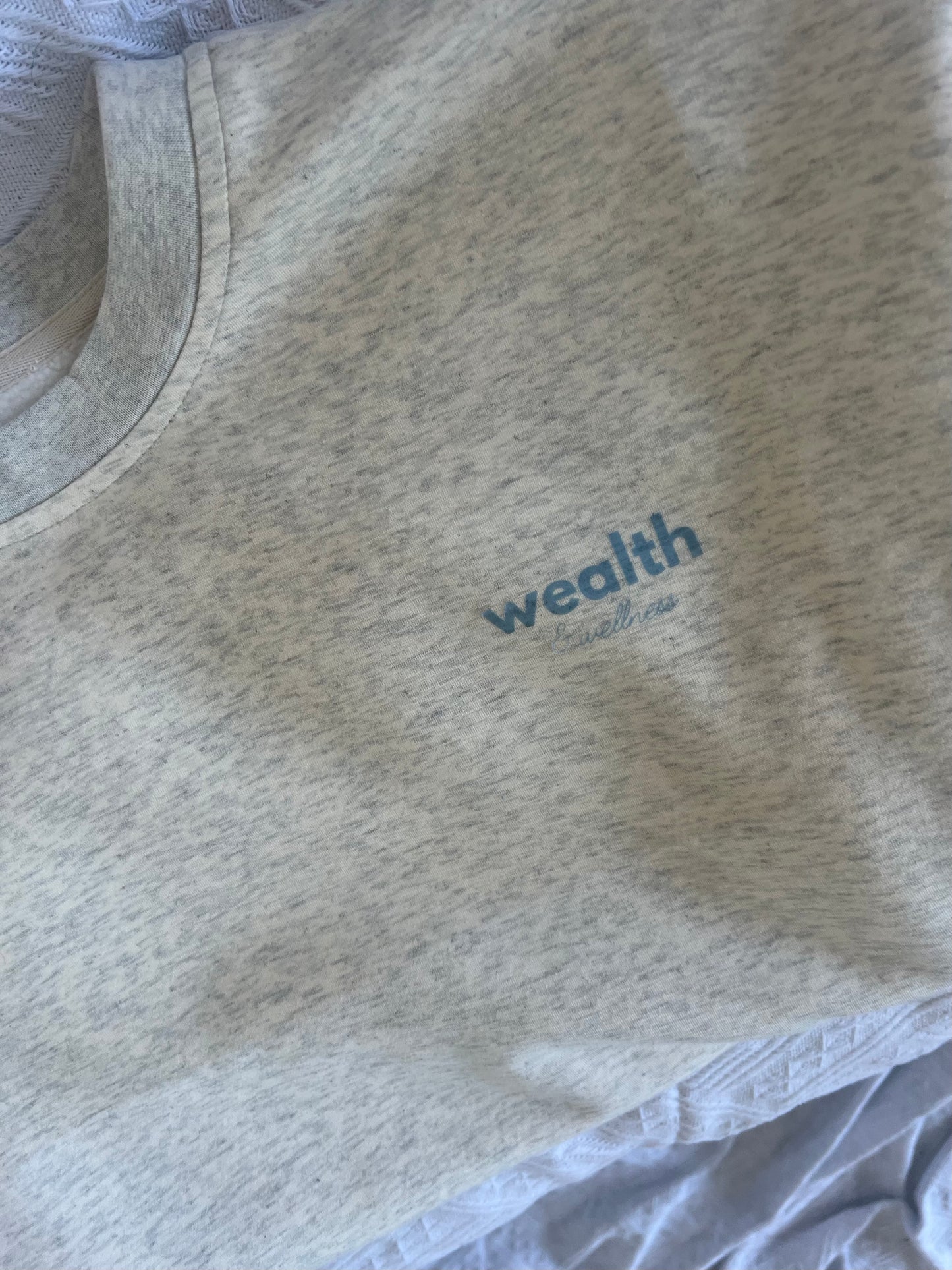 Wealth & Wellness Club Baby Gray Blue Crewneck Sweatshirt