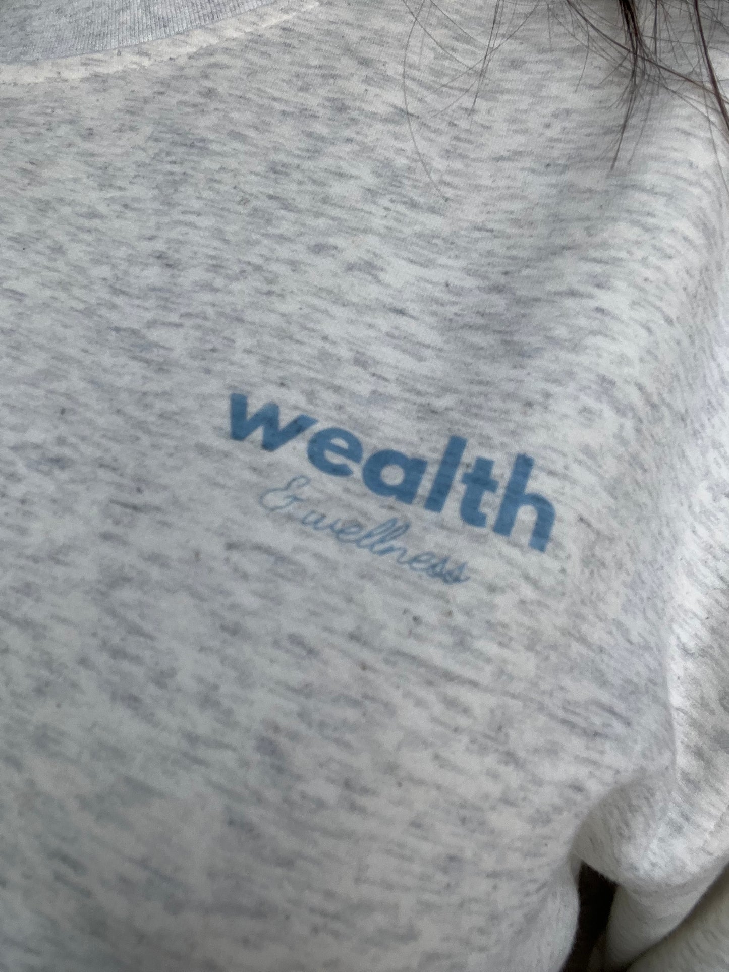 Wealth & Wellness Club Baby Gray Blue Crewneck Sweatshirt